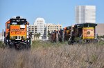Galveston deadline